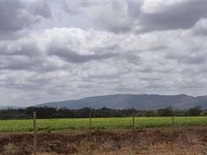 Farm in Alldays