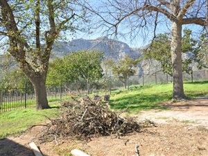 904 m² Land available in La Pastorale