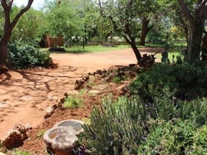 35 ha Farm in Mokopane