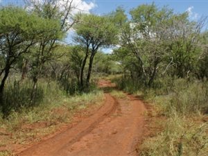 5.2 ha Farm in Northam