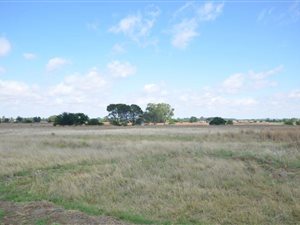 3.9 ha Land available in Bainsvlei
