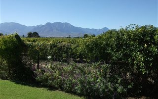 5298 m² Farm in Rawsonville