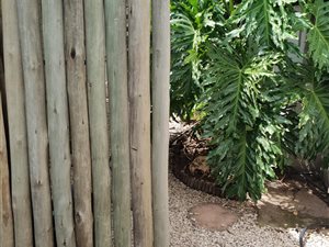 1 Bedroom Garden Cottage in Colbyn