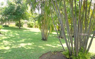 600 m² Land available in Hazyview