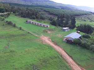 217.4 ha Farm in Mooi River