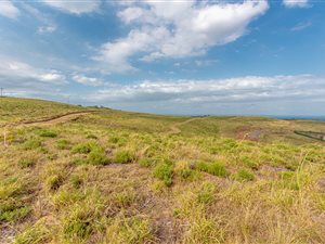 1160 m² Land available in Zululami Luxury Coastal Estate