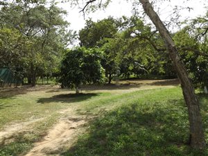 4 ha Farm in Nelspruit