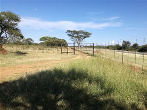 710 ha Farm in Louis Trichardt