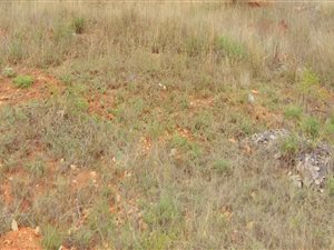 650 m² Land available in Bendor