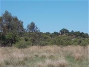11.7 ha Land available in Vasfontein