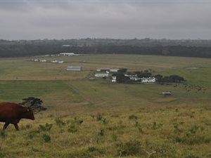 108 ha Farm in Gedults River