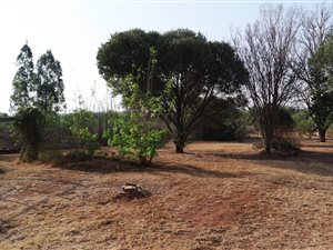 21.4 ha Farm in Vlakfontein