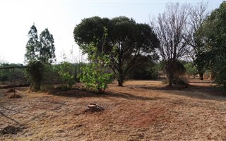 21.4 ha Farm in Vlakfontein