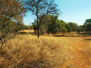 4 ha Farmland in Hazeldean (Silverlakes Surroundings)