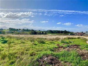 4890 m² Land available in Pacaltsdorp