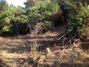 2018 m² Land available in Hibberdene