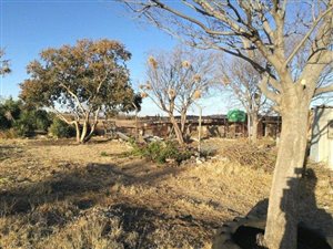 8.5 ha Farm in Wilgeboom AH