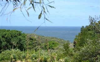 875 m² Land available in Cintsa