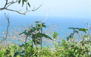 2342 m² Land available in Oslo Beach