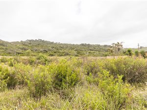 987 m² Land available in Hersham