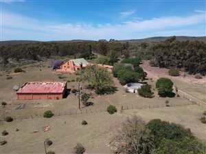 379 ha Farm in Hankey