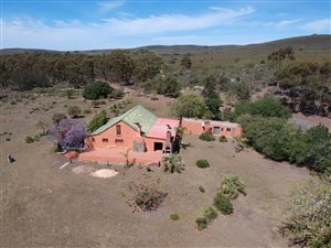 379 ha Farm in Hankey