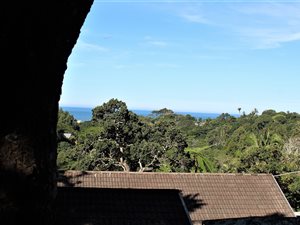 1000 m² Land available in Marina Beach