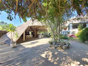 3.3 ha Smallholding in Shelly Beach