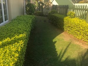3 Bed House in Somerset Park