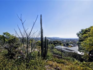 2500 m² Land available in Westcliff