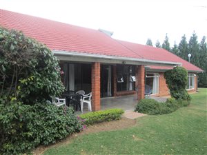 4 Bed House in Pioneer Park