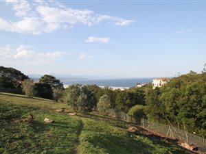 1141 m² Land available in Bowtie