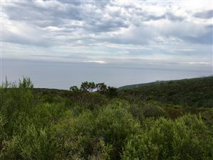 2523 m² Land available in Breakwater Bay Eco Estate