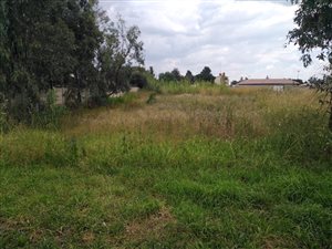 1363 m² Land available in Riversdale