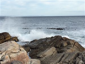 6 ha Farm in Bettys Bay