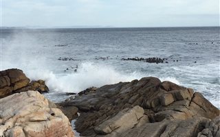 6 ha Farm in Bettys Bay