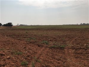 75 ha Farm in Petit
