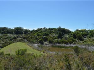 3900 m² Land available in Pezula Golf Estate