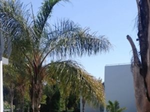 2 Bed Apartment in Oaklands