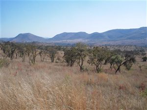 21.4 ha Land available in Hennops River