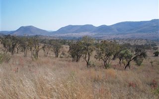 21.4 ha Land available in Hennops River