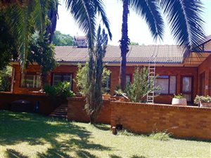 8.5 ha Farm in Roodeplaat
