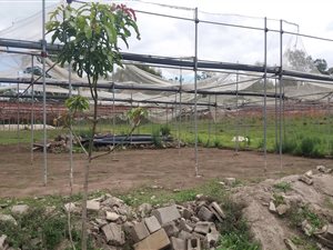 3.6 ha Farm in Umzinto