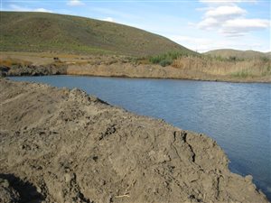 2689 ha Farm in Calvinia