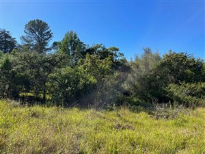 1311 m² Land available in Bathurst and Surrounds