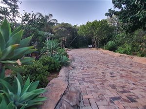 22.7 ha Farm in Mokopane