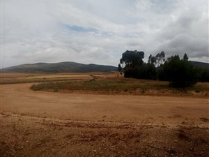 1050 m² Land available in Koringberg