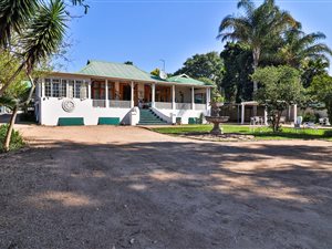 14 Bed House in Scottsville