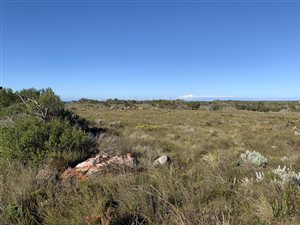 9.6 ha Smallholding in St Francis Bay