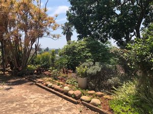 8 Bed House in Stanger Manor